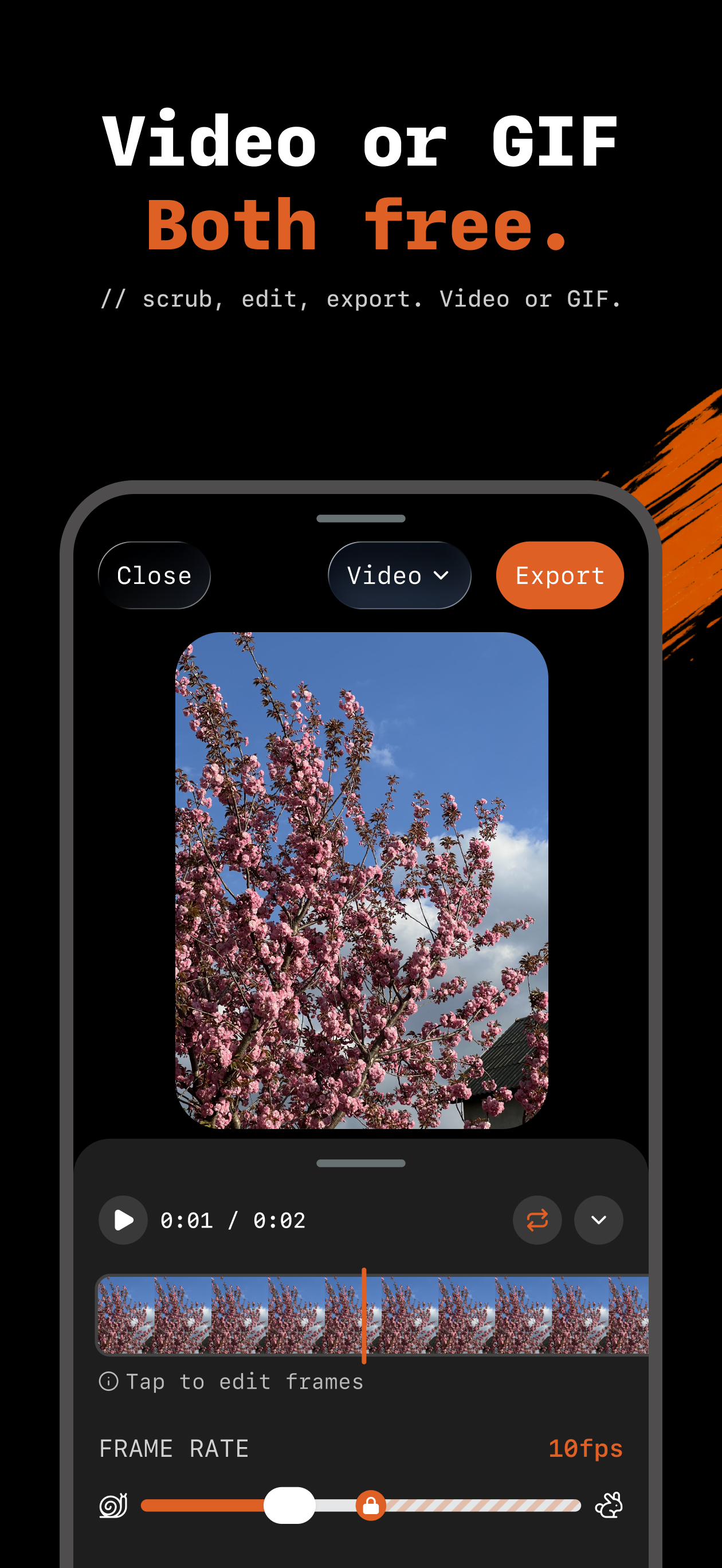 Interval - Stop Motion Camera screenshot 3