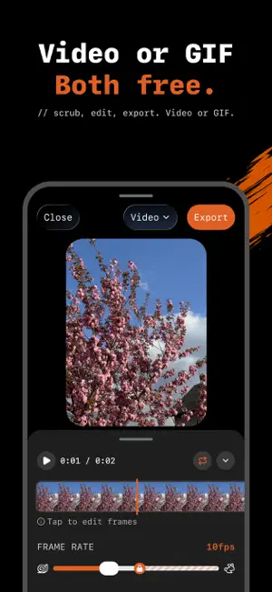 Interval - Stop Motion Camera screenshot 3