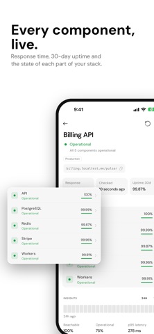 Pulsar: API Status Monitor screenshot 2