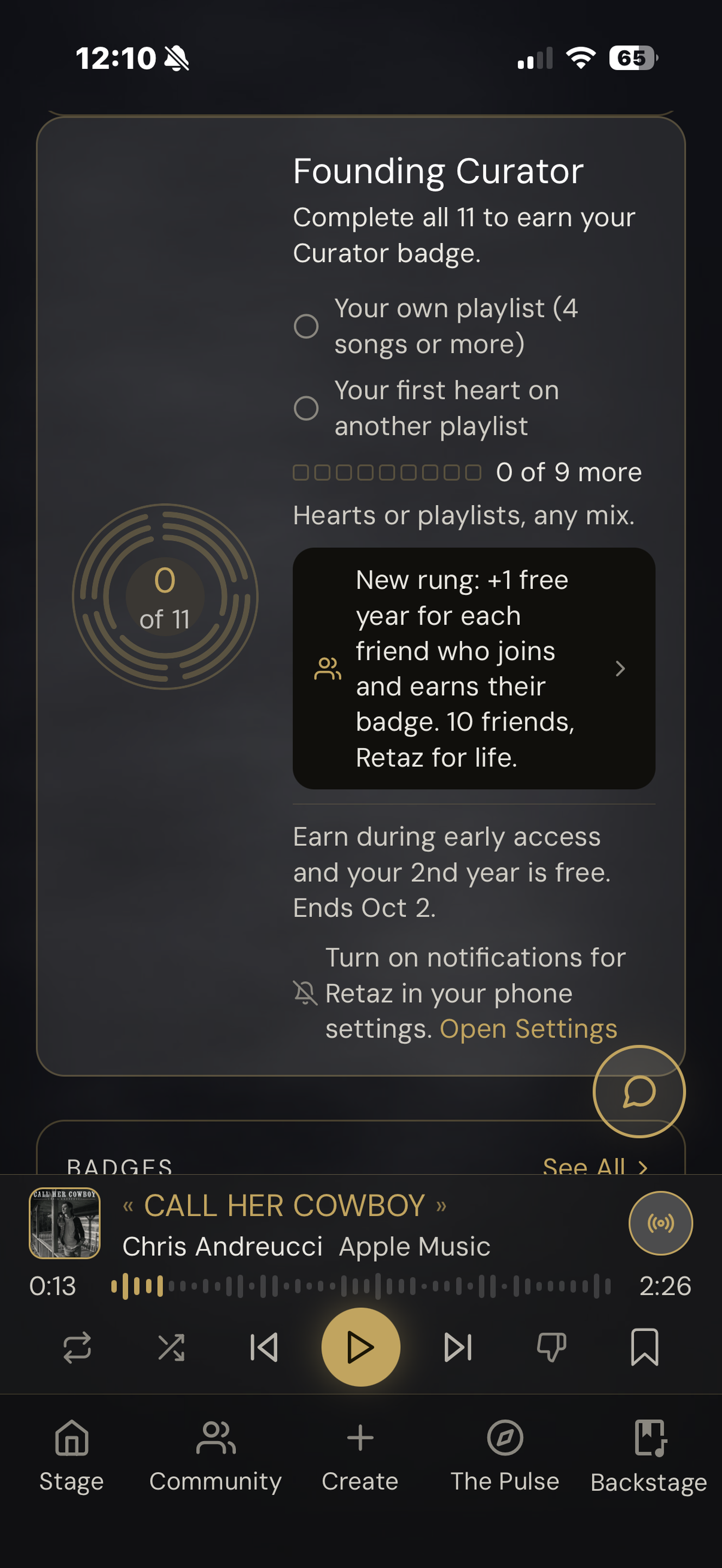 Retaz: Human Music Curation screenshot 8