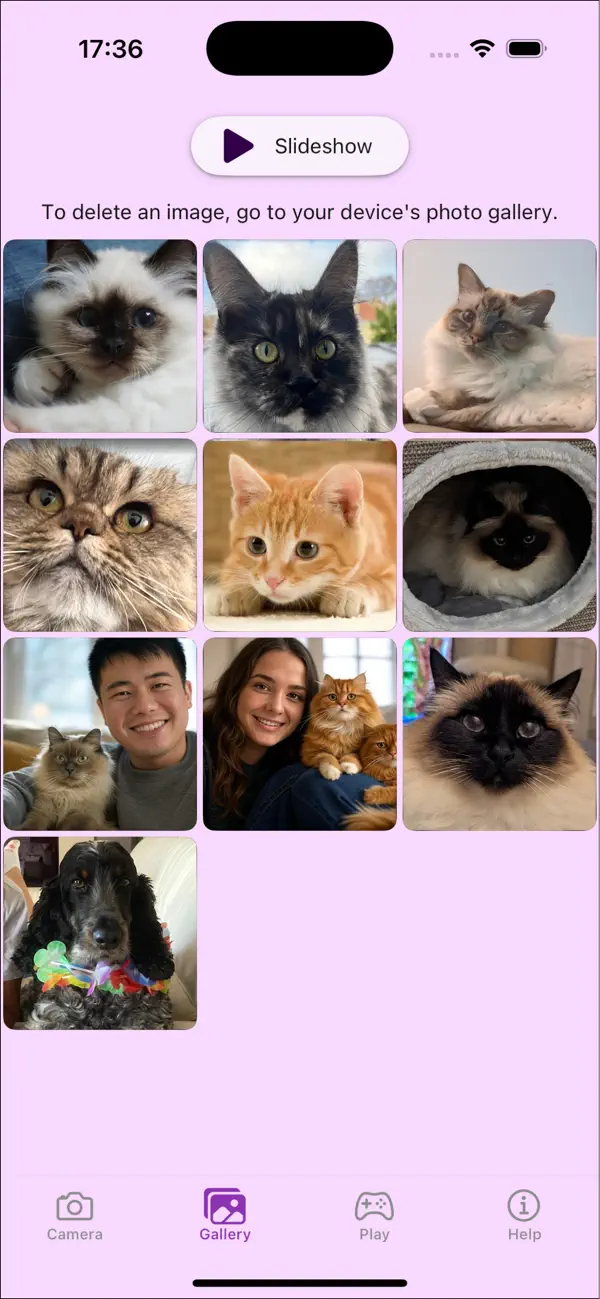 Screenshot #3 pour Easy CatSelfie