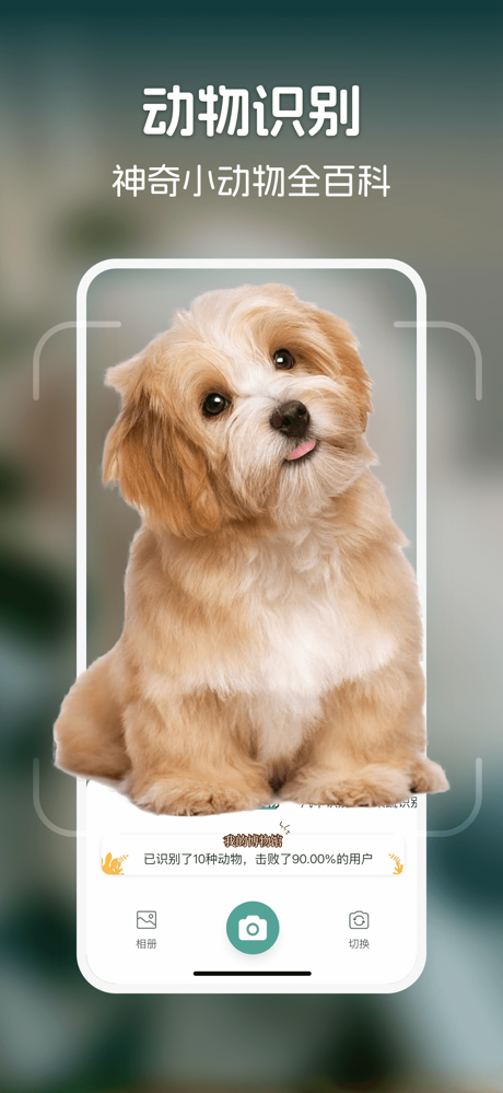 识花君-拍照识别植物,蘑菇野生菌,本草识别,AI识别全能王 screenshot 2
