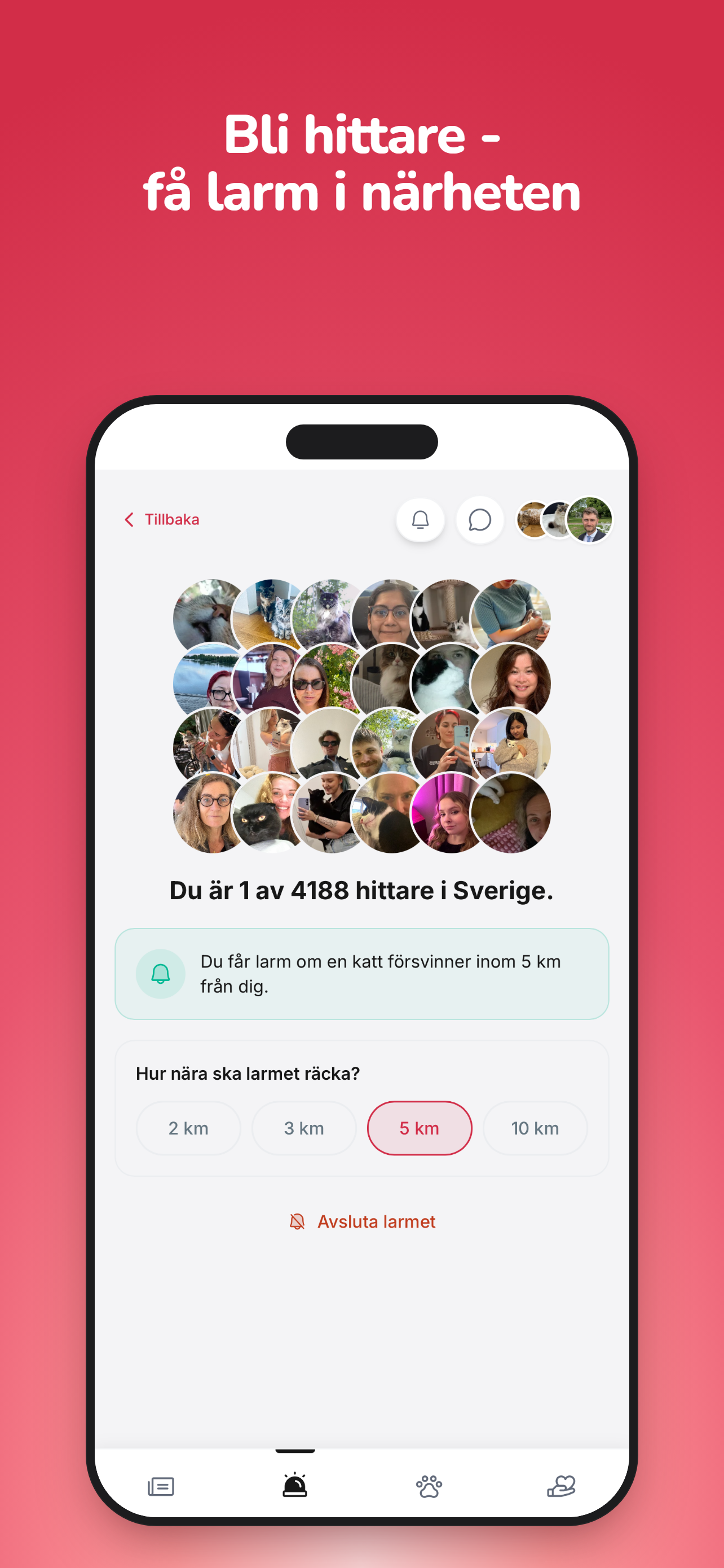 Kattkompis screenshot 2