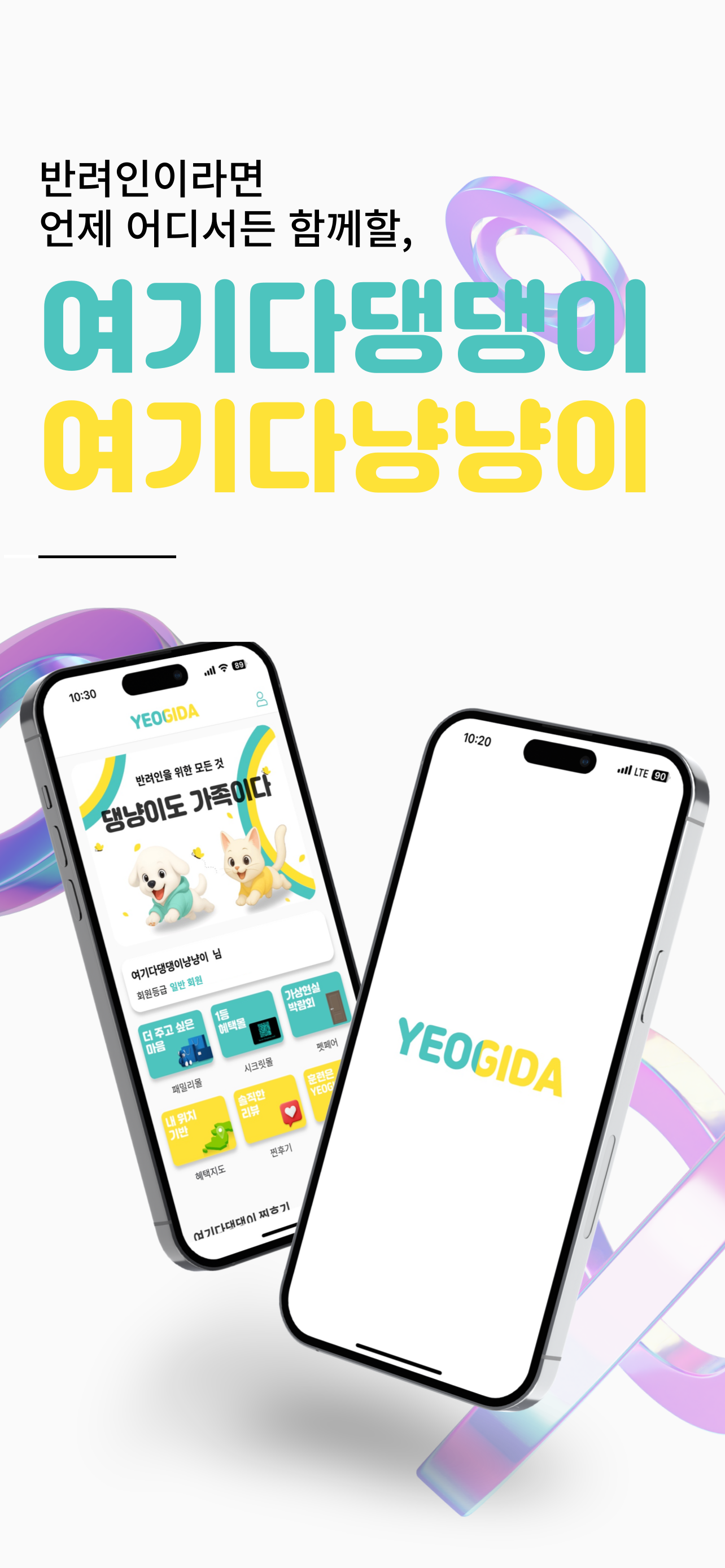 여기다댕냥이