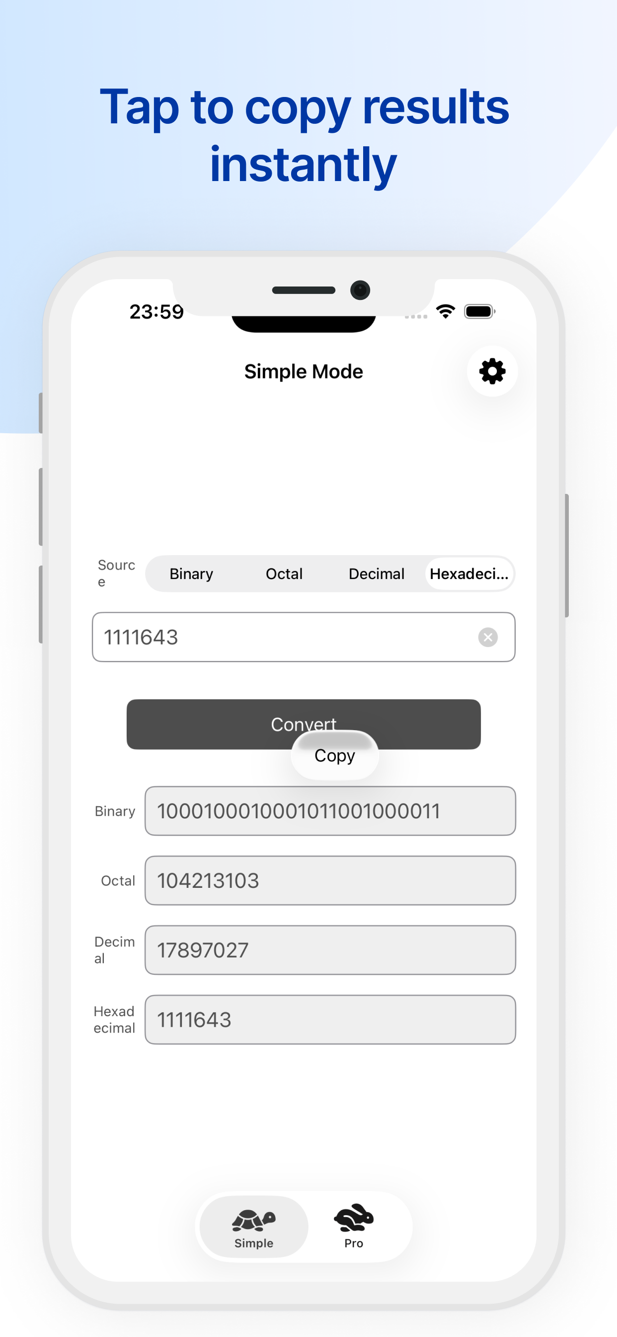 Radix Converte screenshot 3