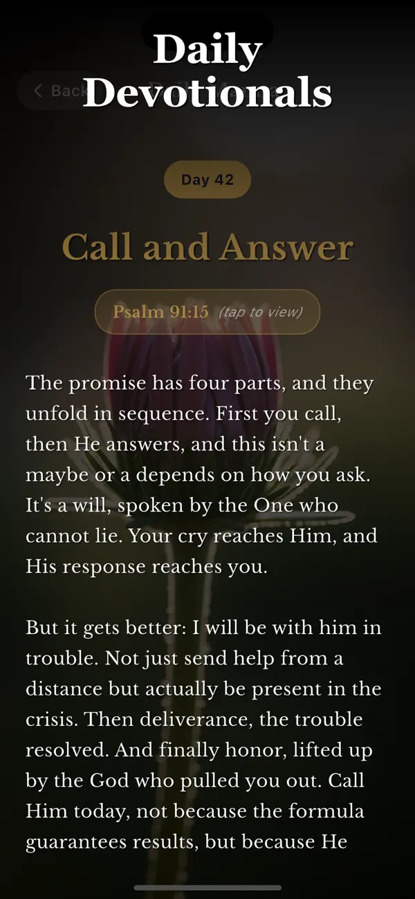 #3. VerseWise (iOS) By: Collin Mclaughlin