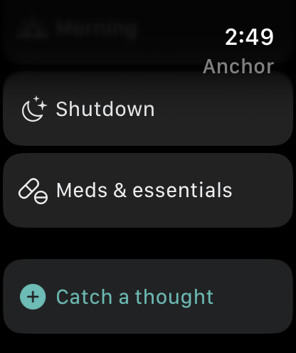 Anchor: ADHD Daily Planner screenshot 21