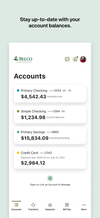 Belco Money Manager : capture d’écran 3 sur 6