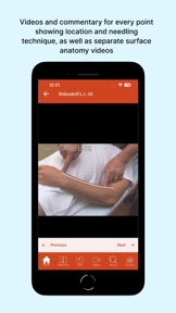 A Manual of Acupuncture 2025 screenshot