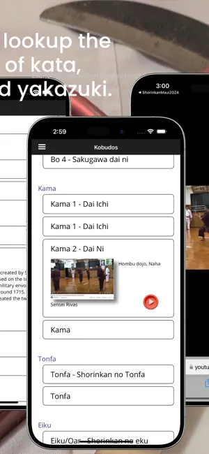 Shorin-Ryu Shorinkan Pro screenshot 3