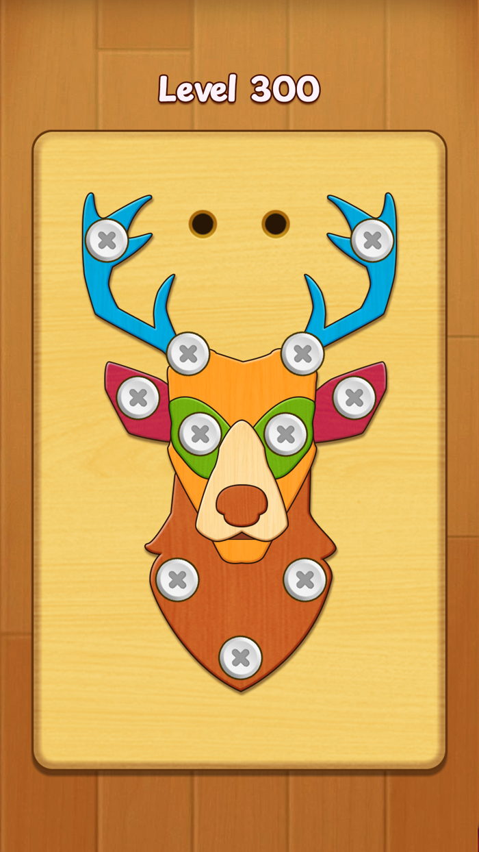 Nuts  Bolts Unscrewing Wood