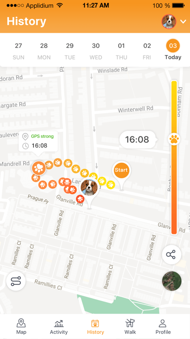 Pawfit Screenshot