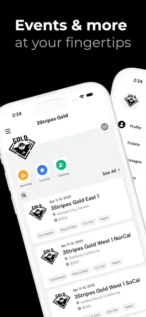 3Stripes Gold screenshot 1