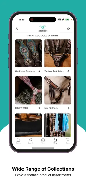 Pistol Lilly Ranch Tack Shop screenshot 3
