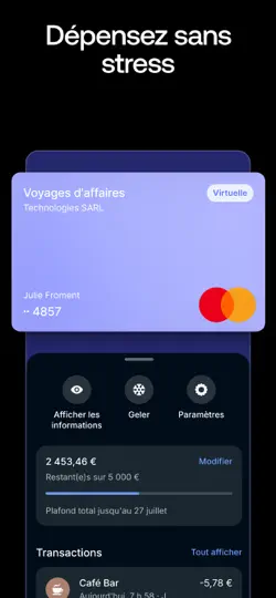 Capture d'écran de Revolut Business sur iPhone 6