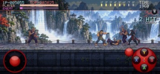 Kung Fu - Temple of Red Dragon screenshot 5