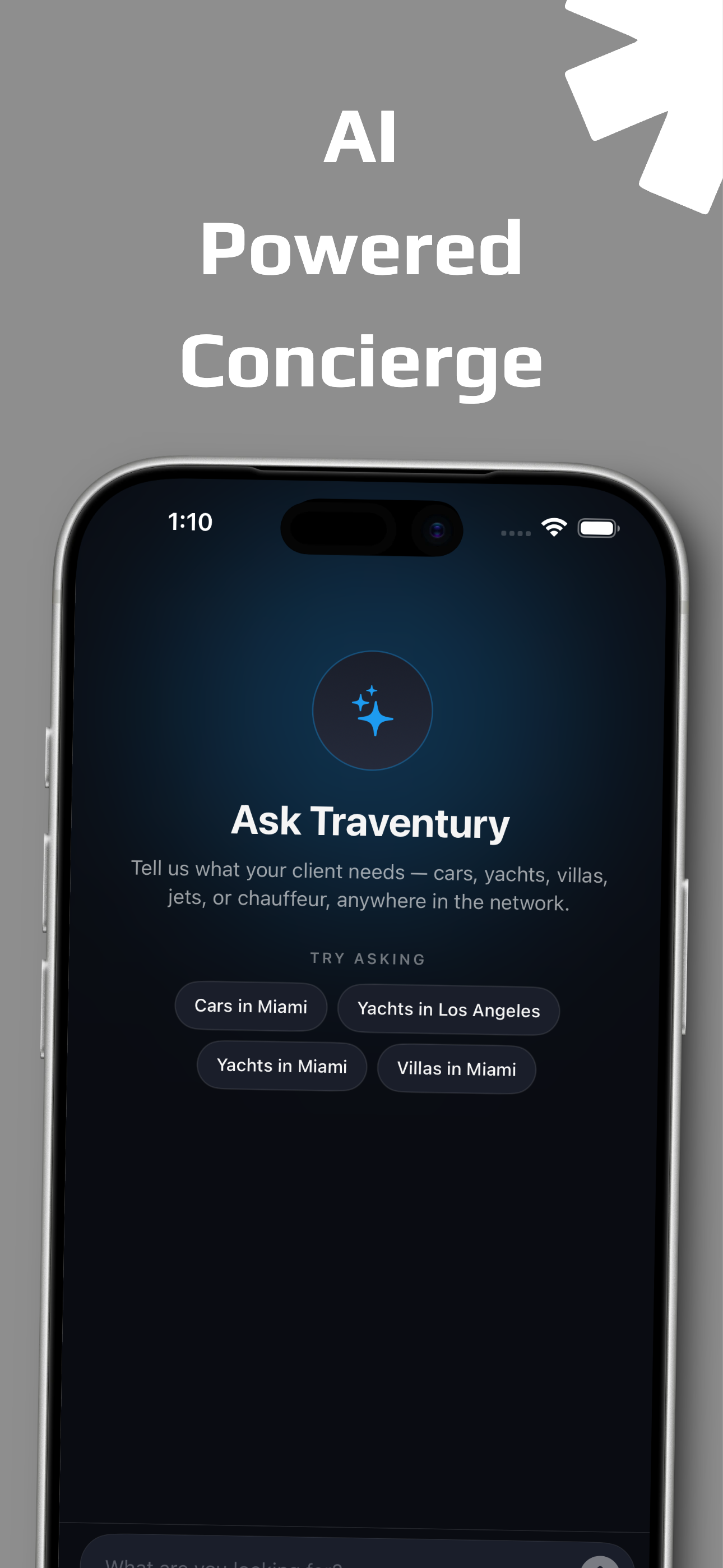 Traventury screenshot 4