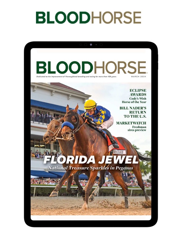 Screenshot #4 pour BloodHorse Magazine