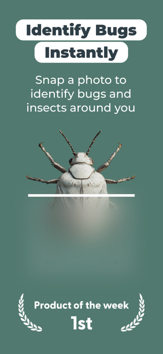 Insect Bug Identifier: BugScan Screenshot 1 of 6