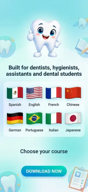 DentaLingo screenshot 1