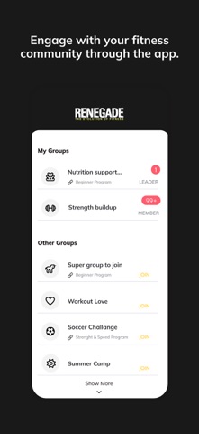 Renegade Gyms screenshot