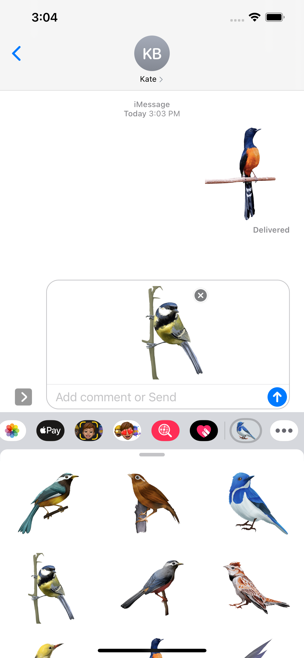 Bird Life Stickers