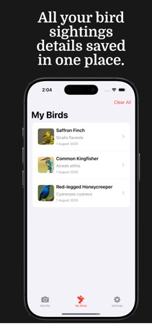 Bird Identifier - Birdy Screenshot 4 of 4