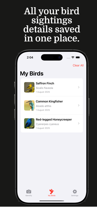 Bird Identifier - Birdy Screenshot 4 of 4