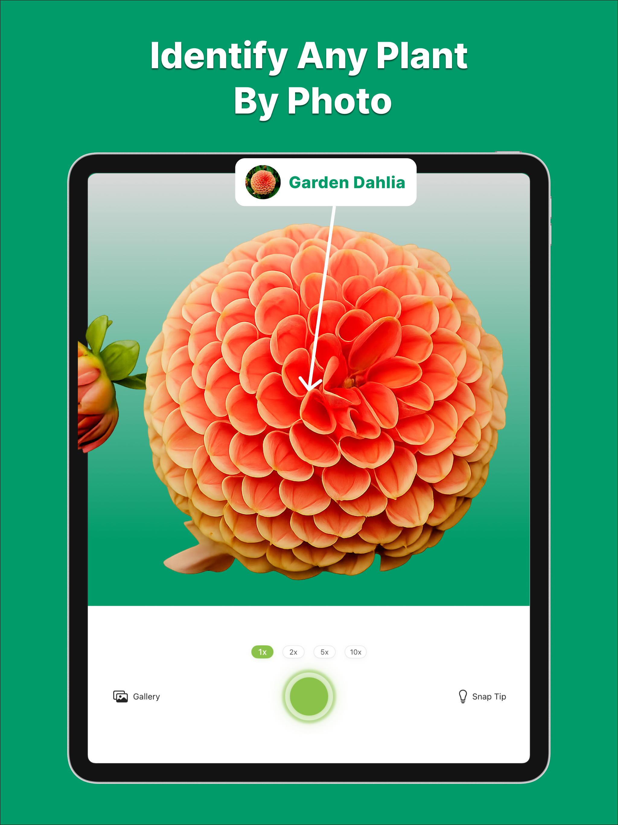 https://is1-ssl.mzstatic.com/image/thumb/PurpleSource221/v4/44/7e/30/447e301f-cb7a-024d-baae-0d263e09dbf2/Ipad_Screen_1.png/2048x2732.png
