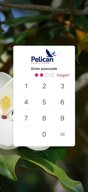 MyPelican screenshot 2