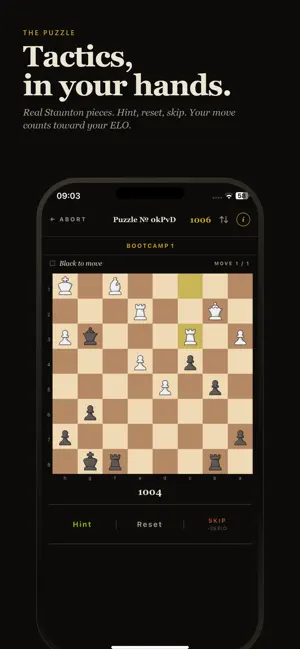 PuzzleMate - Chess Puzzles screenshot 2
