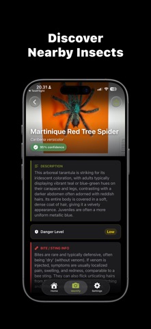 Bug Identifier: Spider & Pest Screenshot 2 of 4