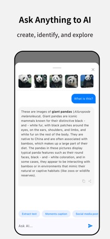 Glimmer: AI Photo Video Maker iPhone screenshot