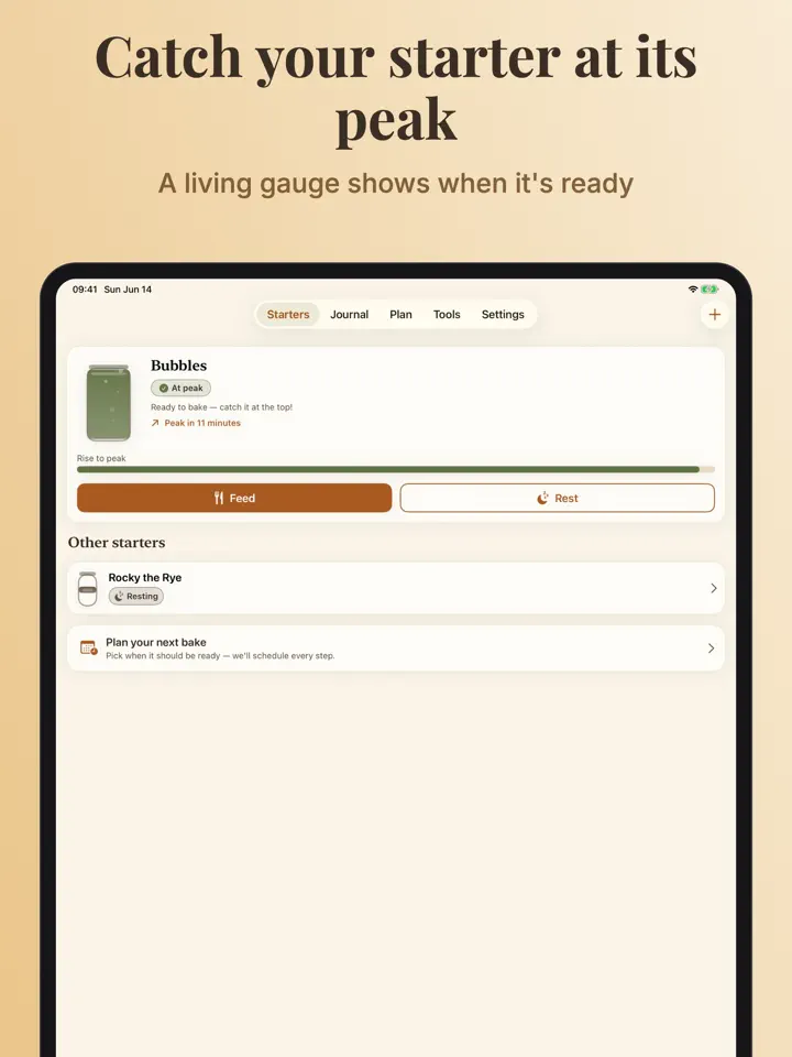 Doughwell on iPad: screenshot 2 of 7