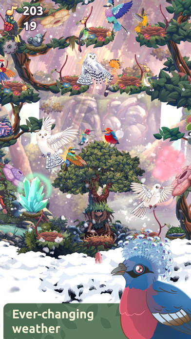 Bird Kind Screenshot