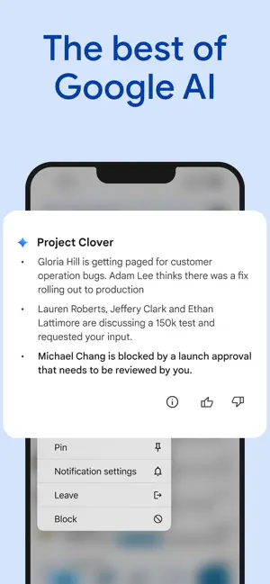 Google Chat iPhone screenshot 2