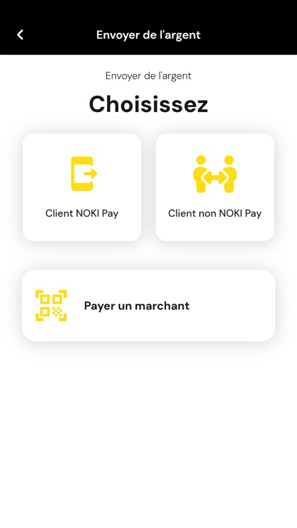 NokiPay screenshot-6