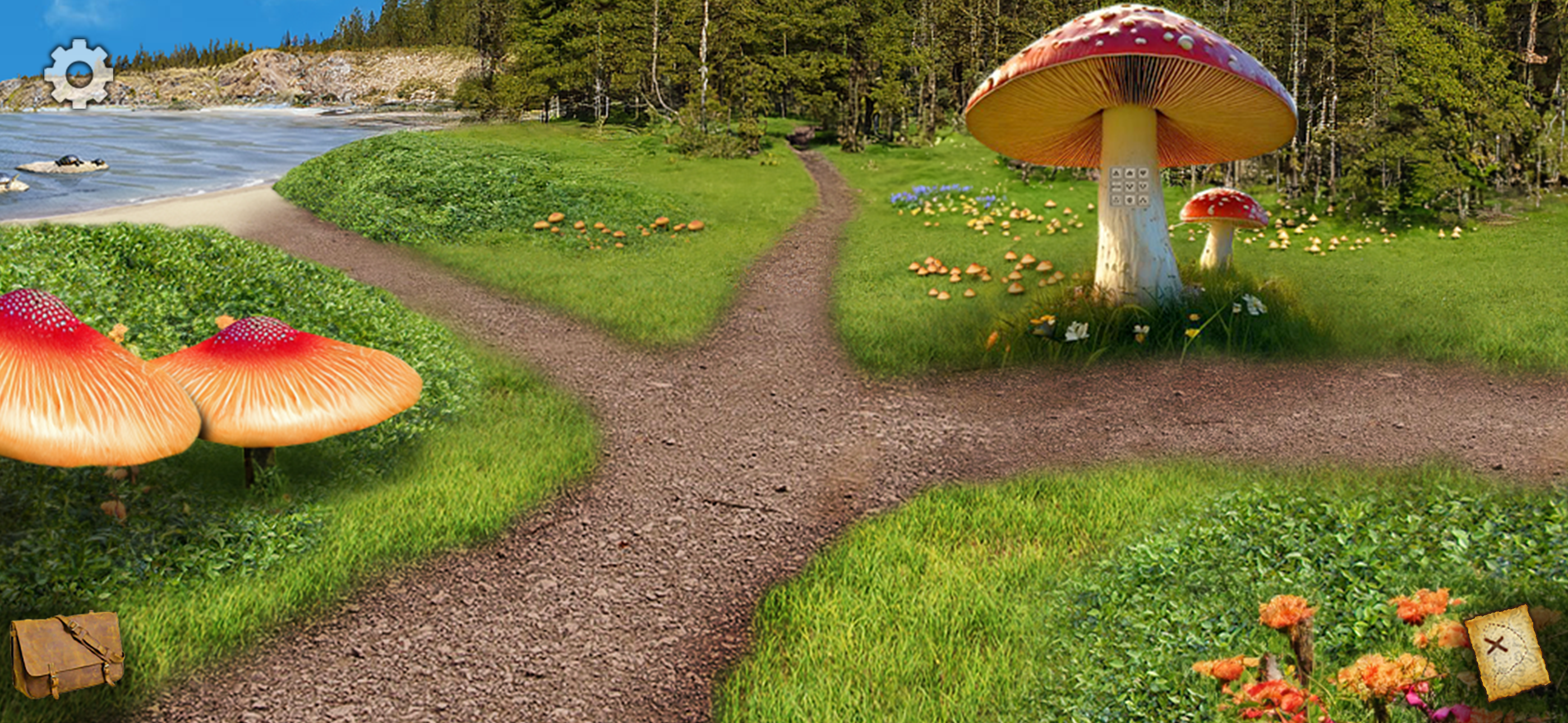 Adventure in Wonderland