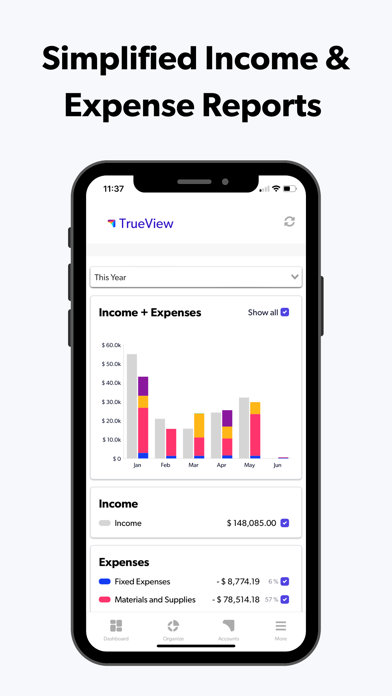 TrueView Money: Easy Budgeting Screenshot