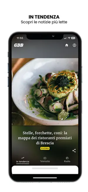 Giornale di Brescia GDB iPhone screenshot 3