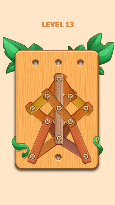 Unscrew Wood Nuts & Bolts Game Screenshot