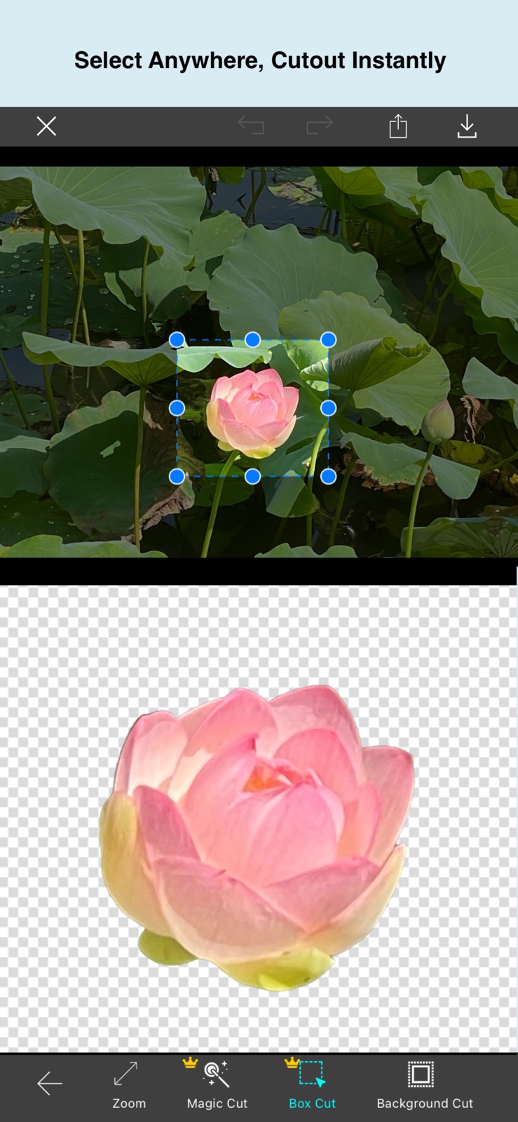 Photo AI Eraser-Object Removal iphone screenshot 3