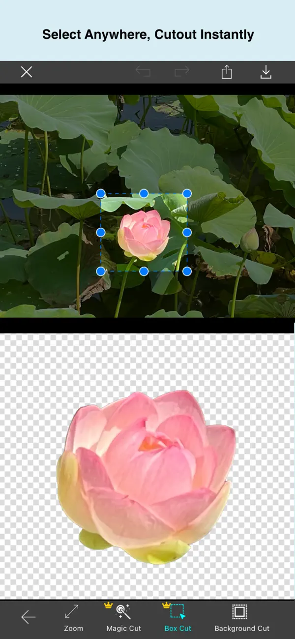 #3. Photo AI Eraser-Object Removal (iOS) Által: 洪涛 汤