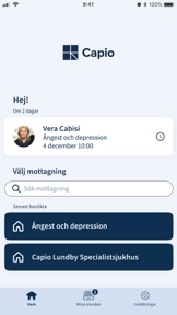 Mitt videomöte screenshot