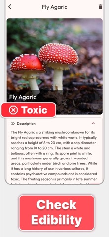 Mushroom Identifier: Mushwyn Screenshot 1 of 3