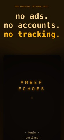 Amber Echoes: A Mother's Ghost screenshot 6