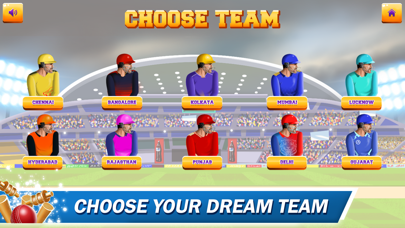 CPL Tournament- Cricket League Screenshot