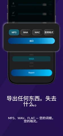 人声消除AI · Stems Lab 音轨分离 screenshot
