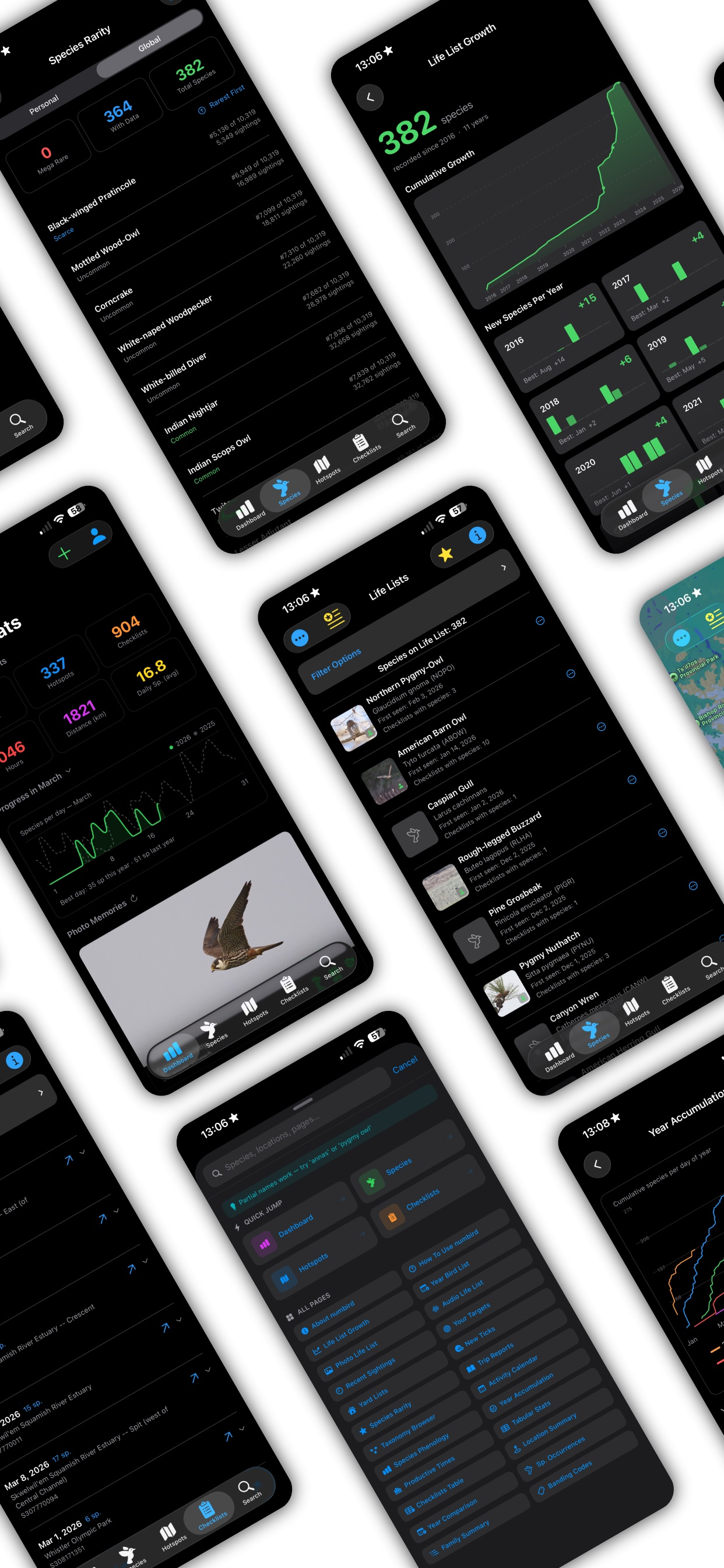 numbird screenshot 4