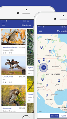 iKnow Birds LITE screenshot 5